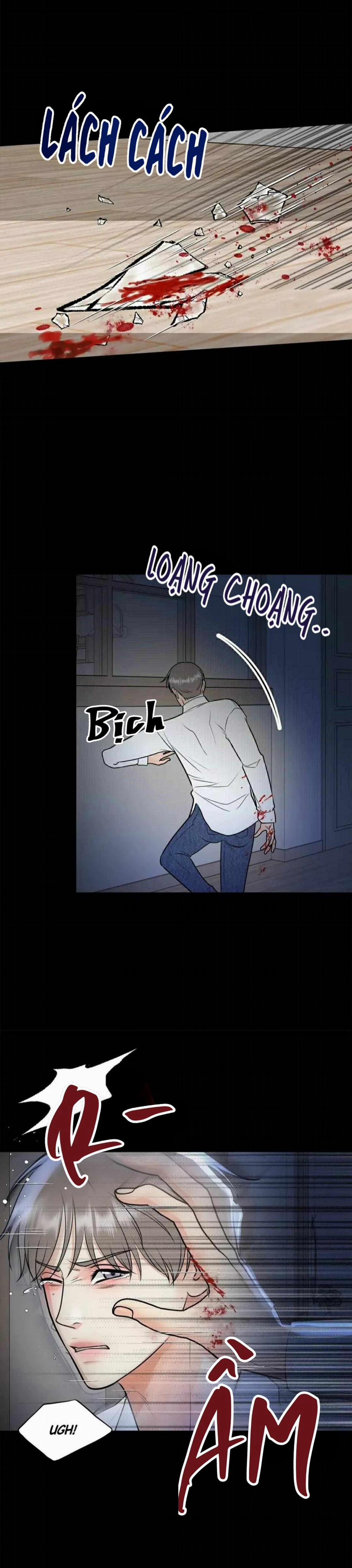 Hạnh Phúc Trọn Vẹn 50 trang 17