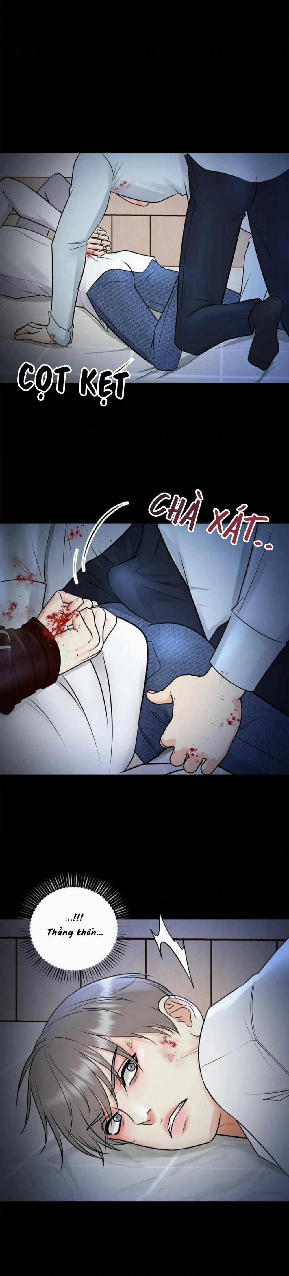 Hạnh Phúc Trọn Vẹn 50 trang 20