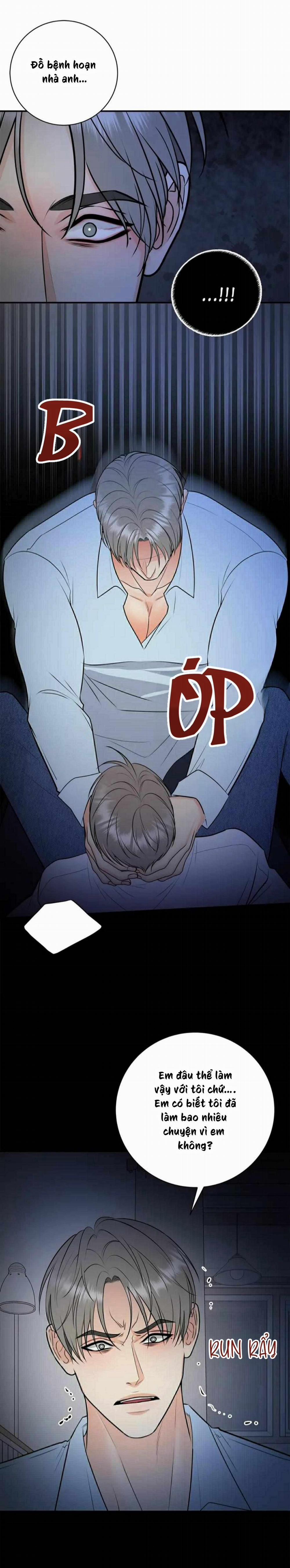 Hạnh Phúc Trọn Vẹn 51 trang 13