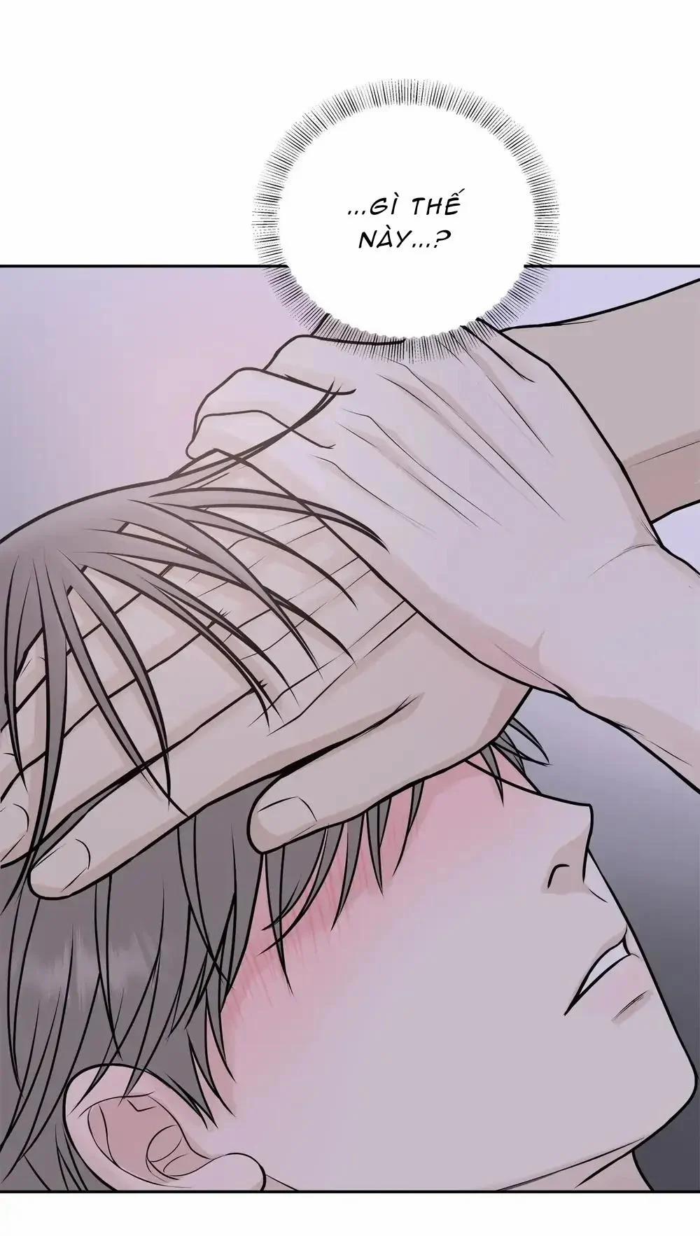 Hạnh Phúc Trọn Vẹn 6 trang 7