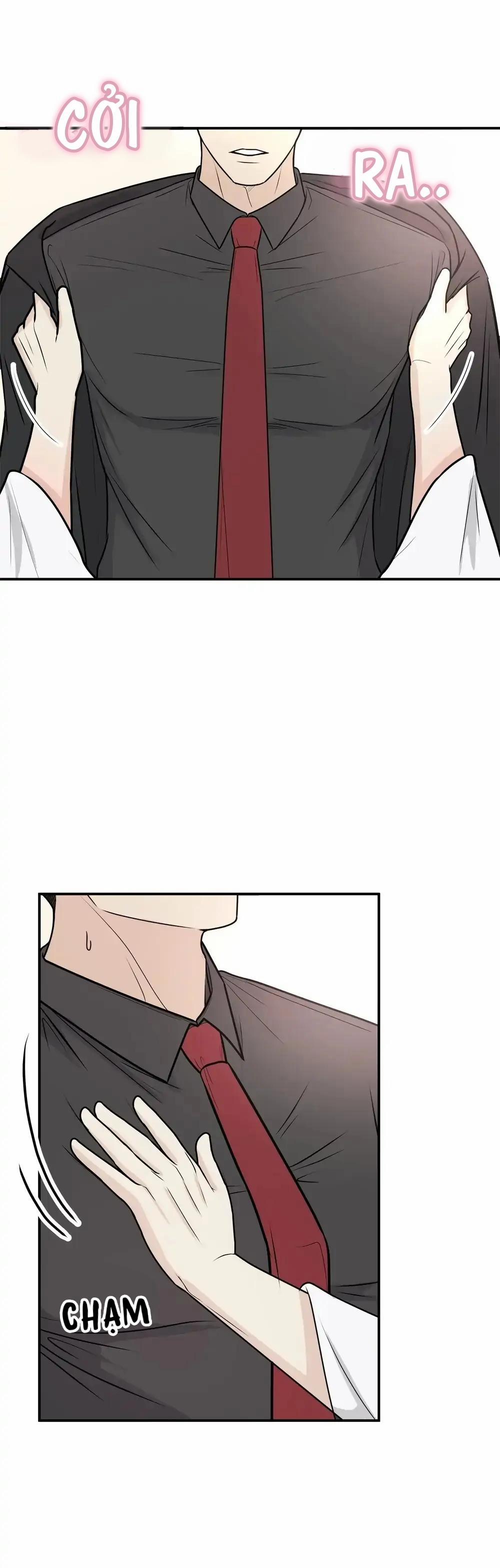 Hạnh Phúc Trọn Vẹn 9 trang 5