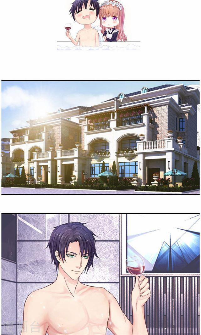 Hành Trình Thuần Hóa Vợ Nhỏ Của Tổng Tài 1 trang 2