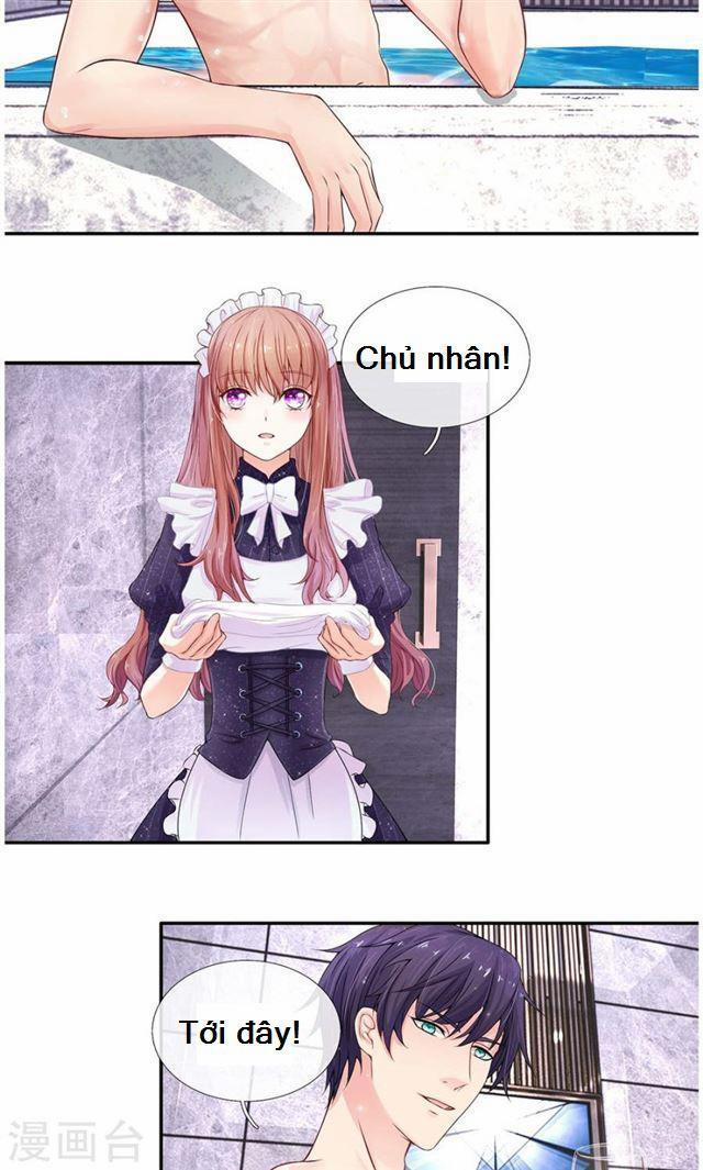 Hành Trình Thuần Hóa Vợ Nhỏ Của Tổng Tài 1 trang 3