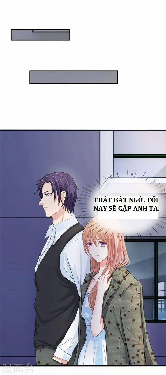 Hành Trình Thuần Hóa Vợ Nhỏ Của Tổng Tài 12 trang 6