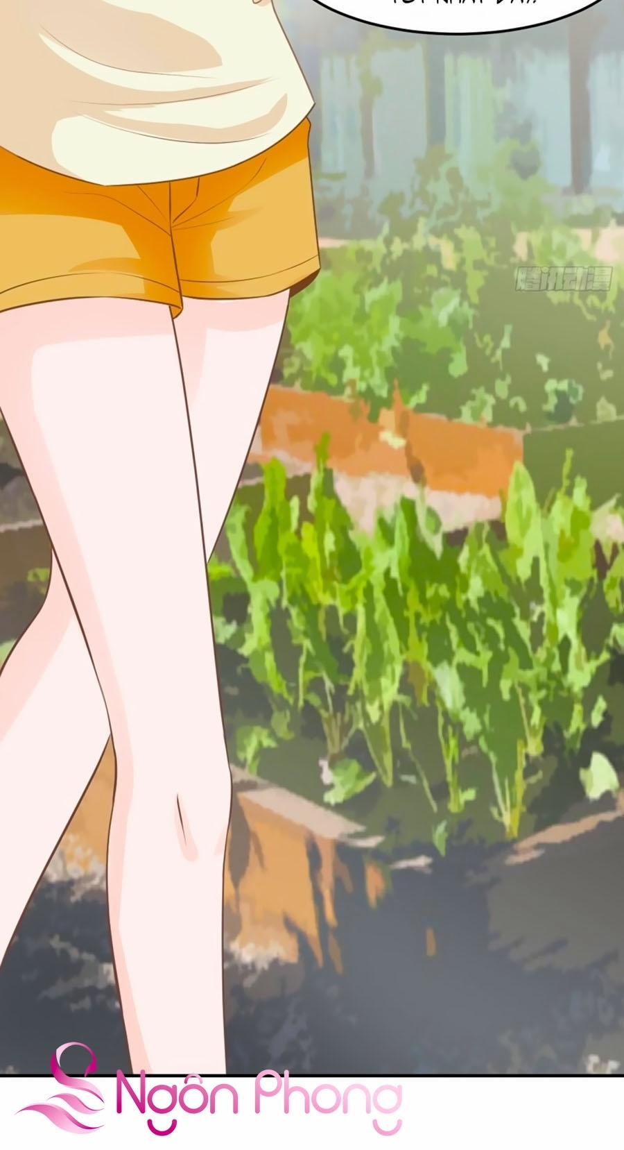 Hào Môn Thịnh Sủng 22 trang 11