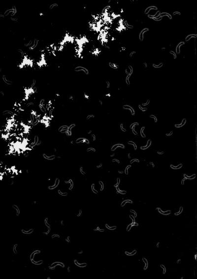 Happy End 1 trang 20