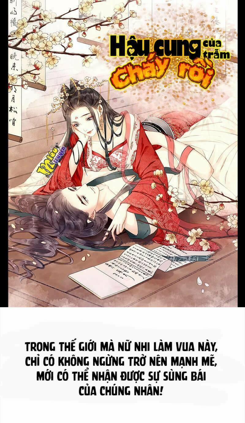 Hậu Cung Của Trẫm Cháy Rồi! 0 trang 0