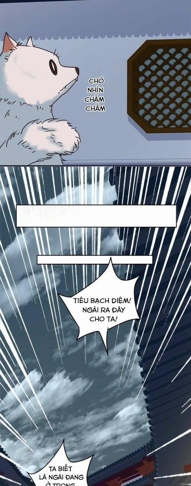 Hầu Gia Nhà Ta Không Sủng Ta 5 trang 5