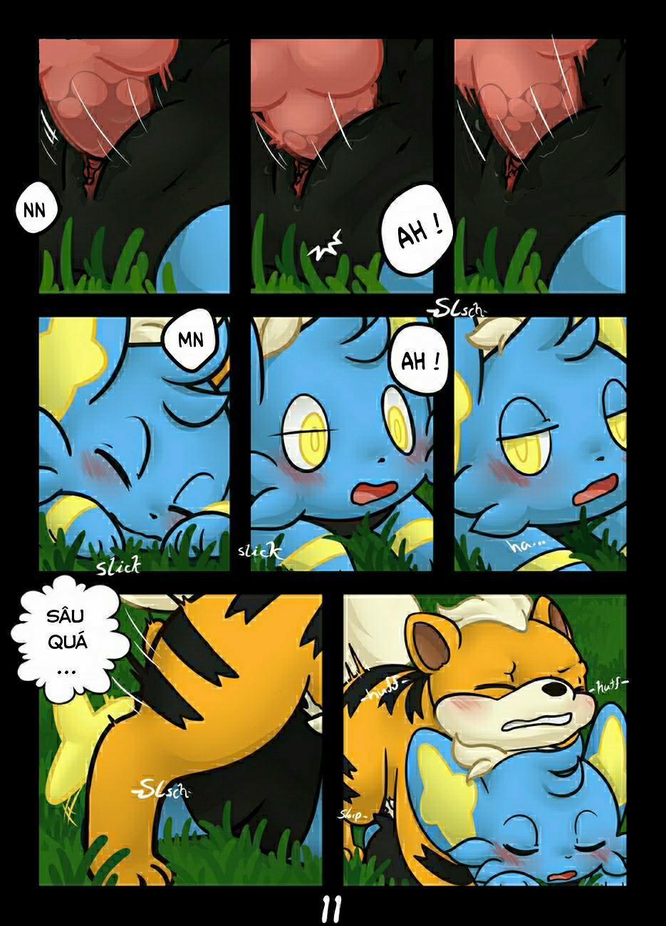 Hãy bắt tớ nếu cậu có thể (Pokemon) Oneshot trang 10