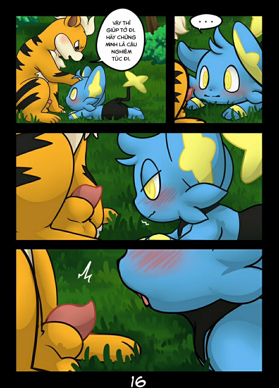 Hãy bắt tớ nếu cậu có thể (Pokemon) Oneshot trang 15