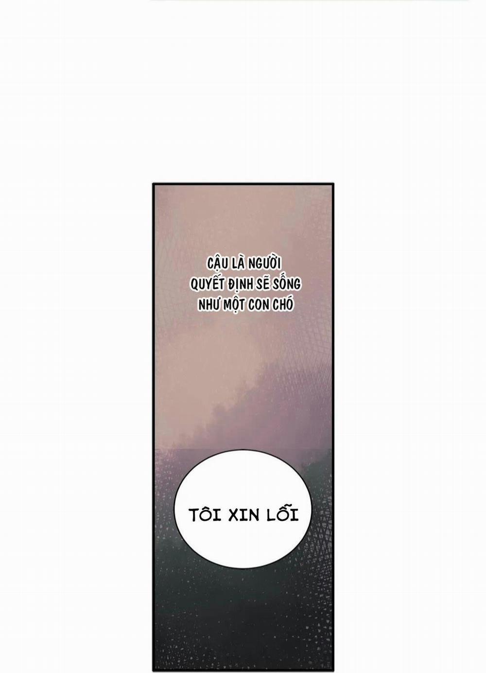 Hãy Chịu Trách Nhiệm Đi! 11 trang 43