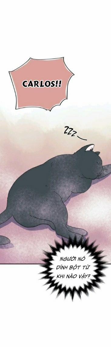 Hãy Chịu Trách Nhiệm Đi! 13 trang 27