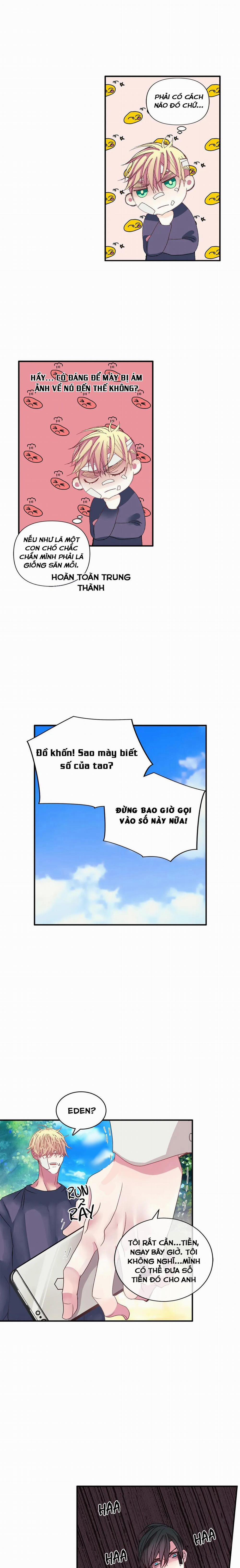 Hãy Chịu Trách Nhiệm Đi! 9 trang 21