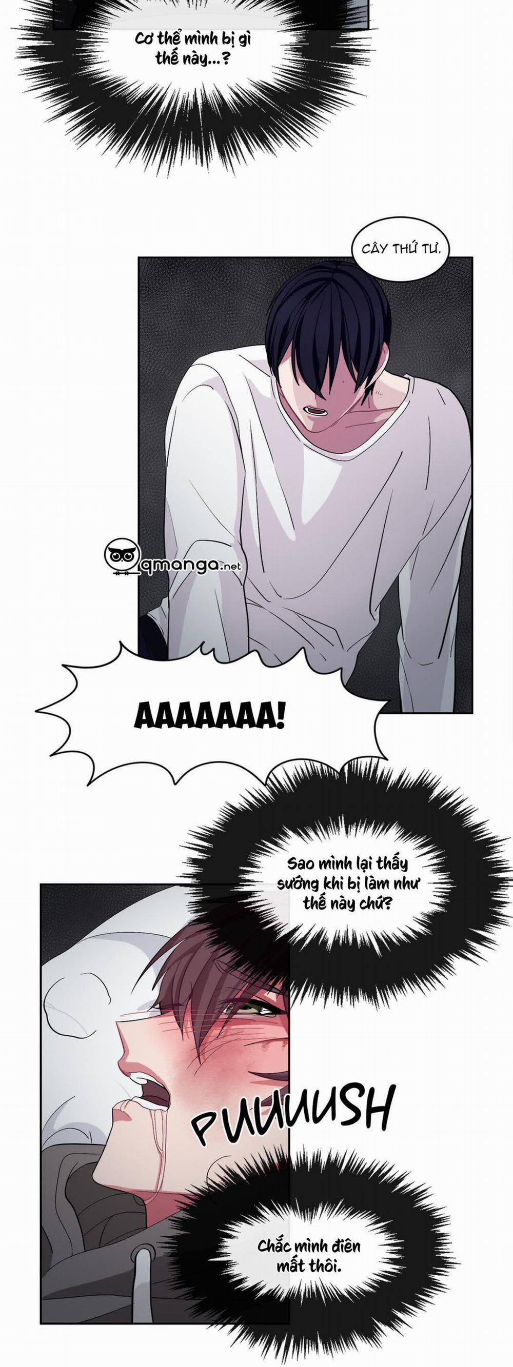 Hãy Tuân Lệnh Tôi 9 trang 29