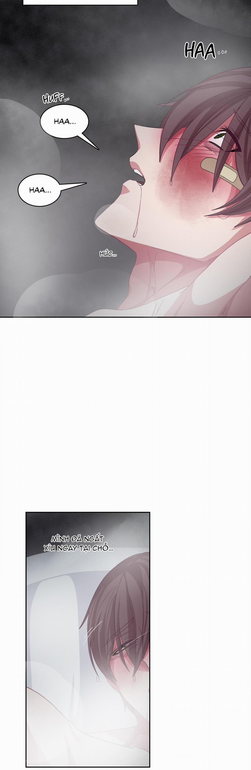 Hãy Vâng Lời Anh 12 trang 12