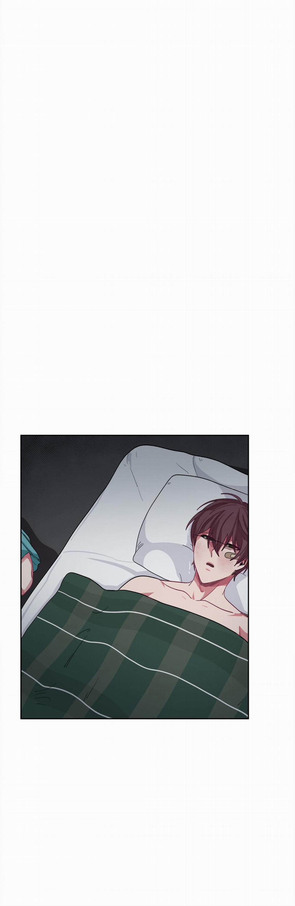 Hãy Vâng Lời Anh 12 trang 14