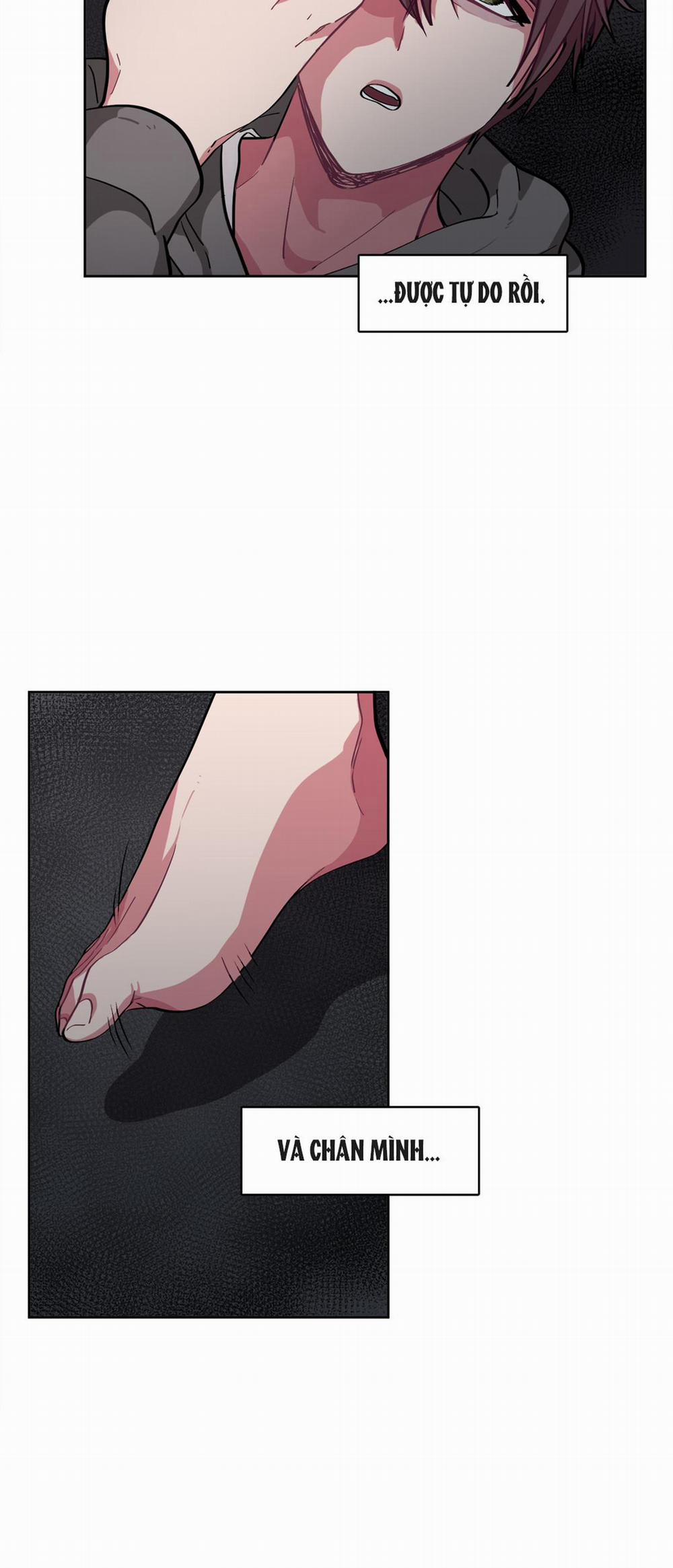 Hãy Vâng Lời Anh 6 trang 33