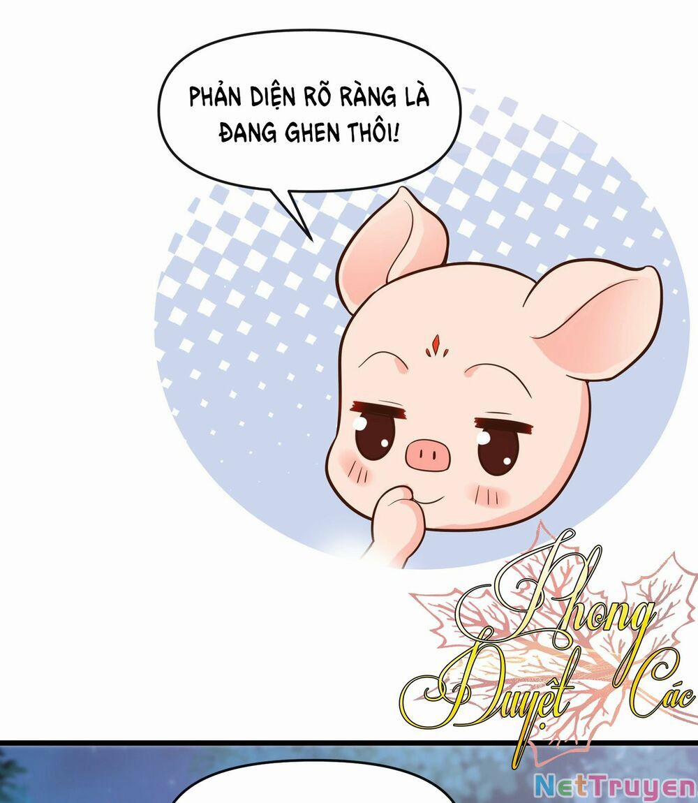 Hệ Thống Xuyên Nhanh: Ác Nam Không Dễ Chọc 40 trang 8