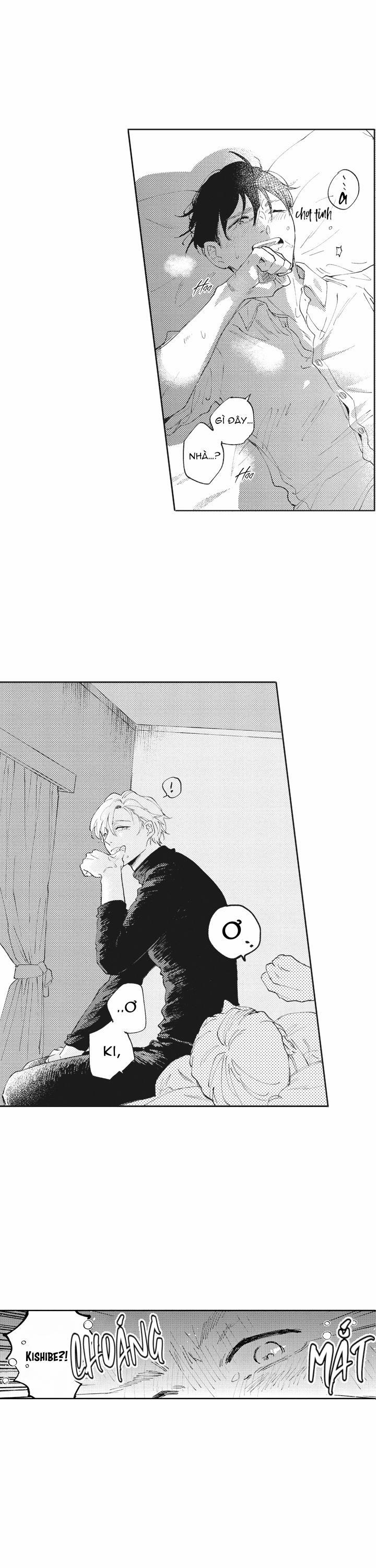 HEALING PARADOX 9 trang 5