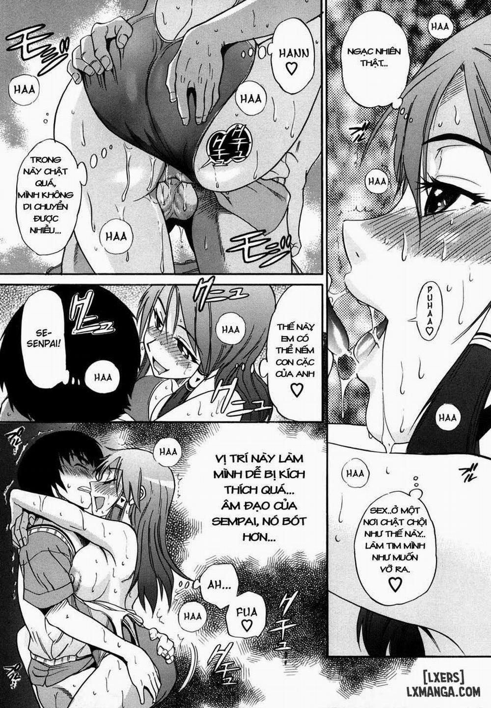 HHH Triple H 2 trang 14