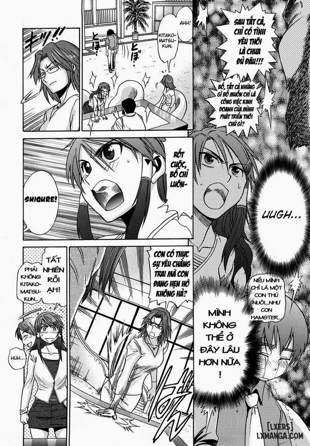 HHH Triple H 4 trang 5