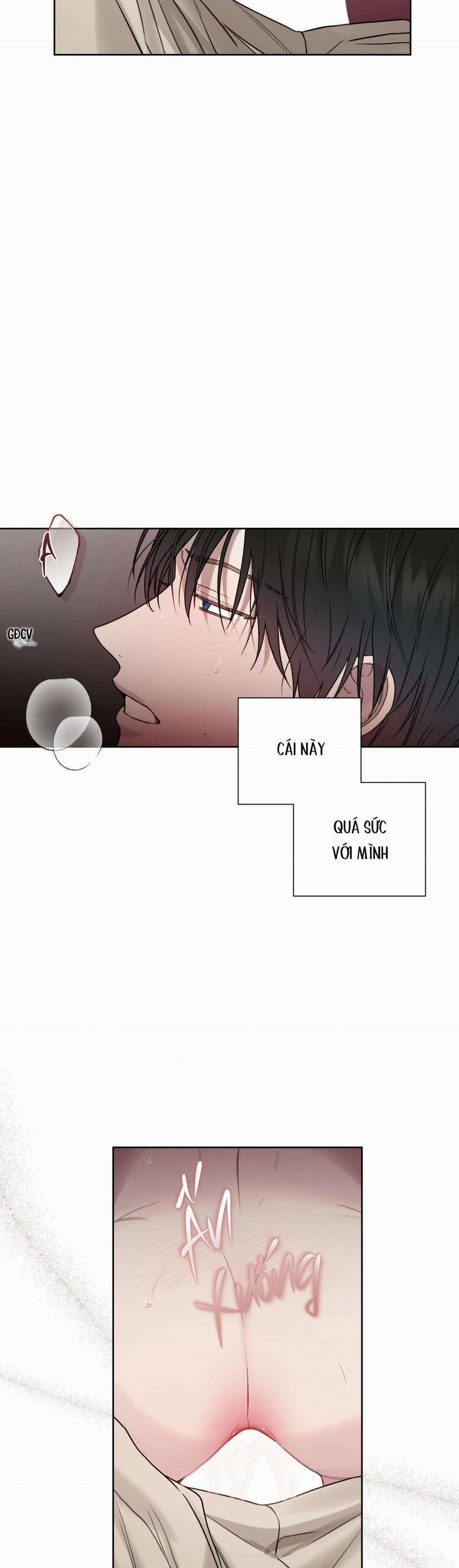 HIỂM HỌA GUIDING 0 0 trang 11