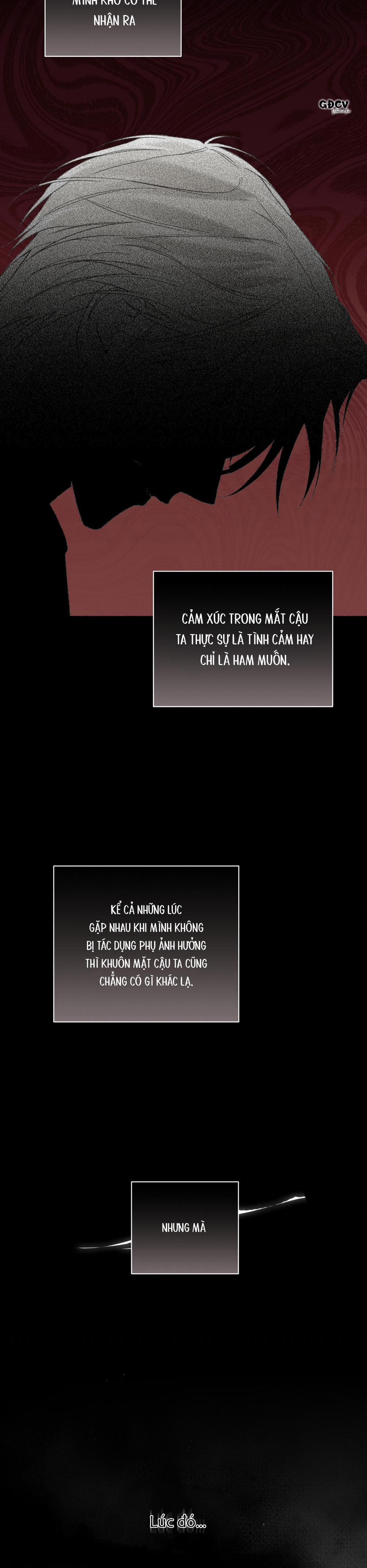 HIỂM HỌA GUIDING 38 trang 16