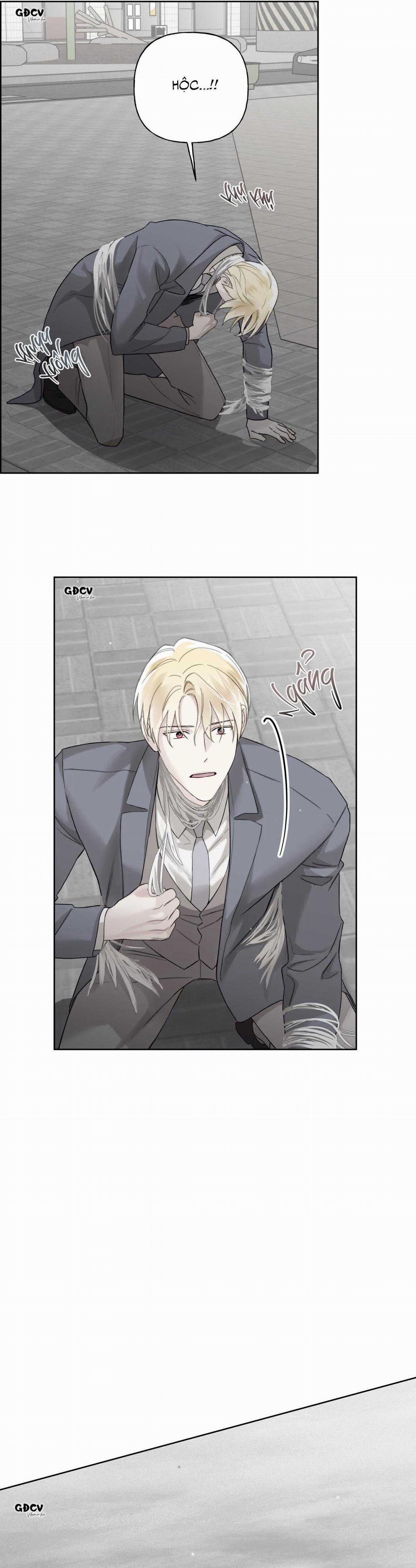 HIỂM HỌA GUIDING 41 trang 5