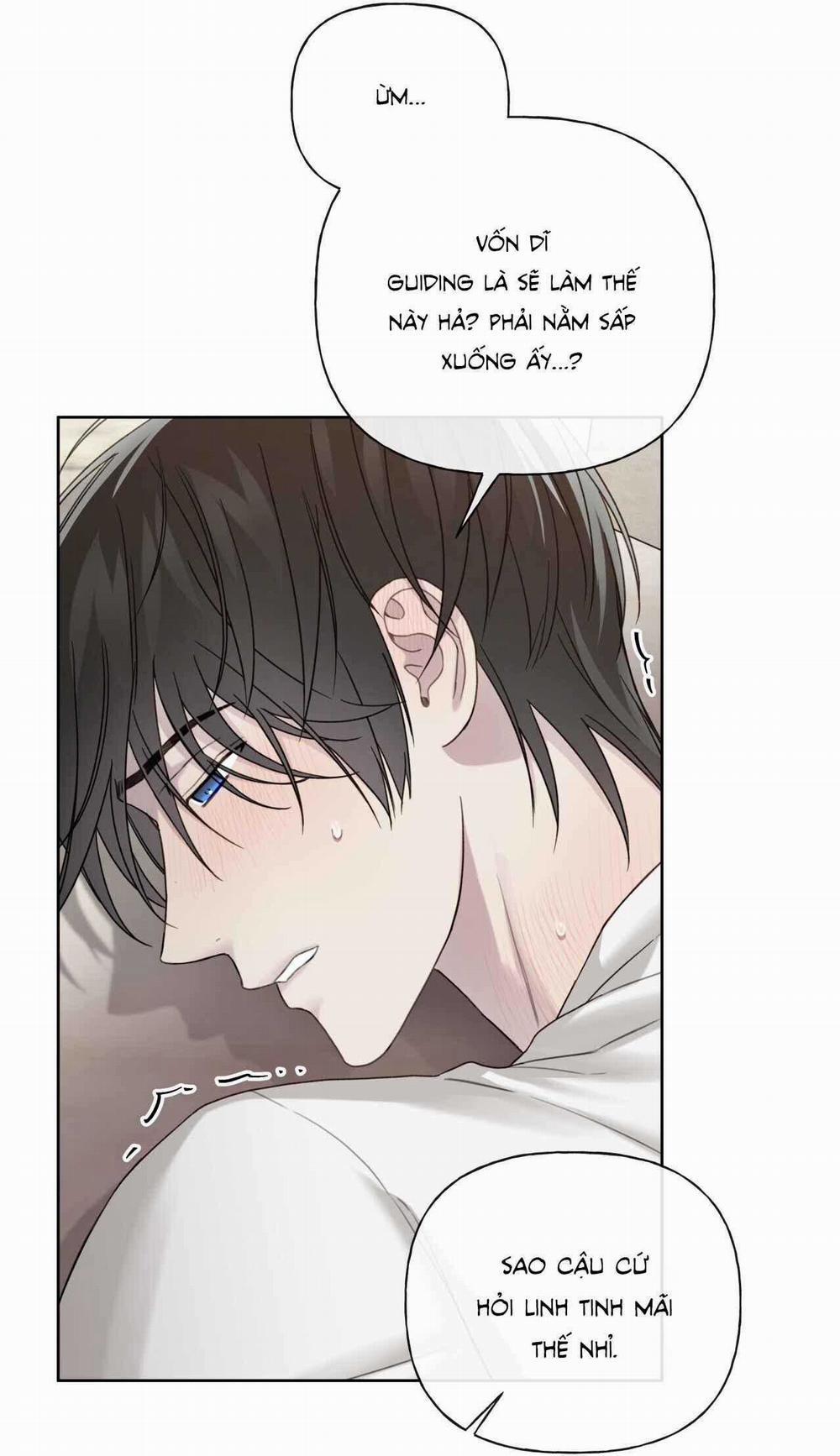 HIỂM HỌA GUIDING 47 trang 13