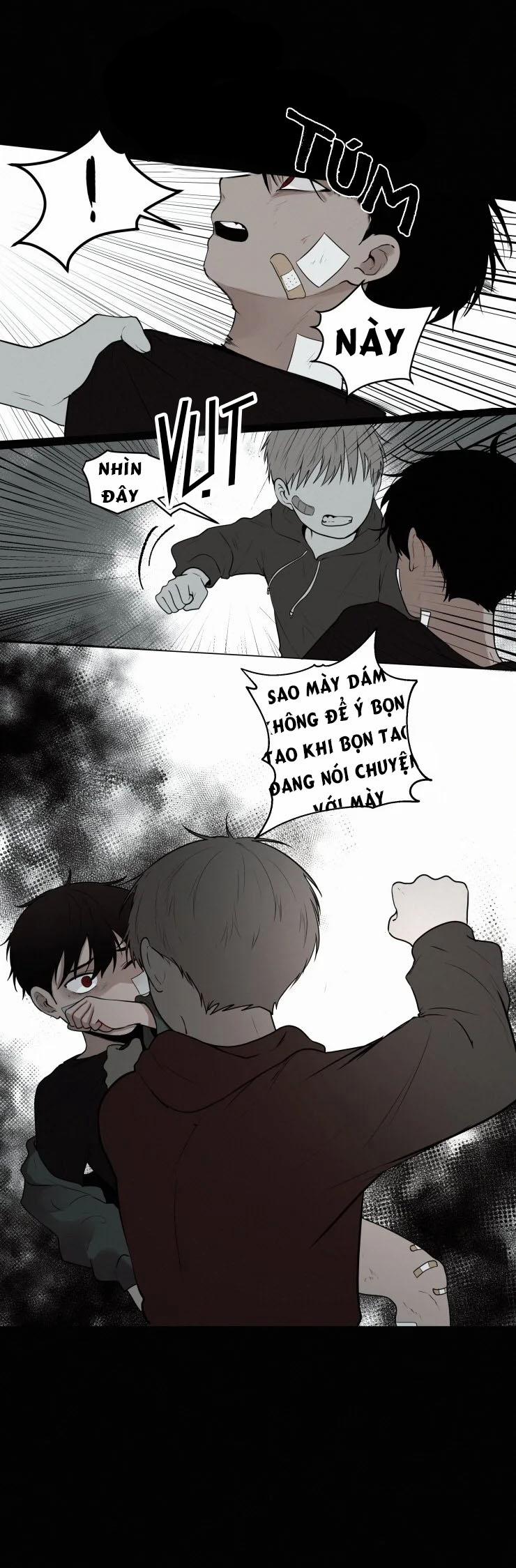 Hiến Máu 27 trang 4