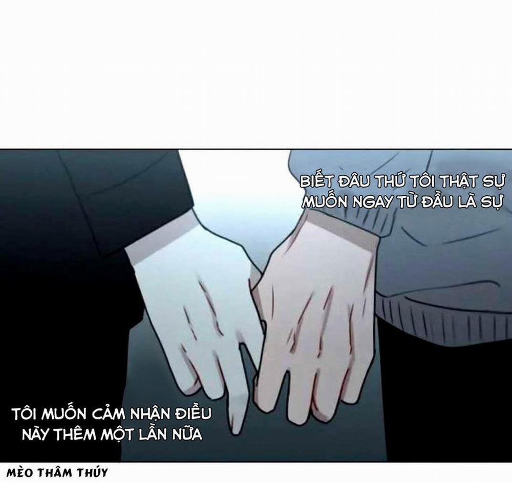 Hiến Máu 38 trang 29