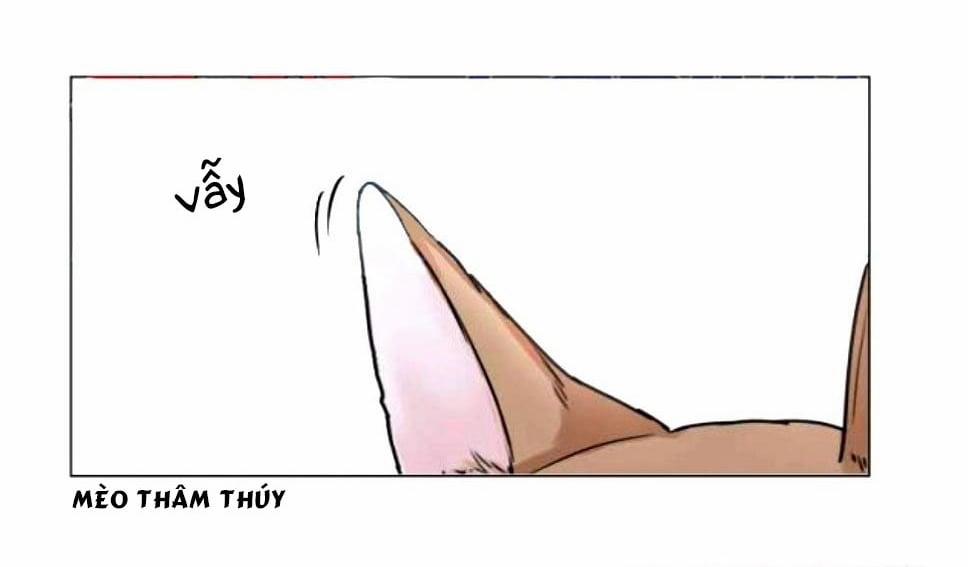 Hiến Máu 38 trang 3