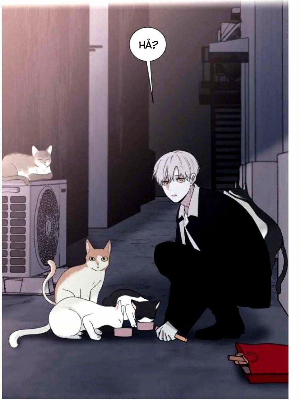 Hiến Máu 38 trang 4