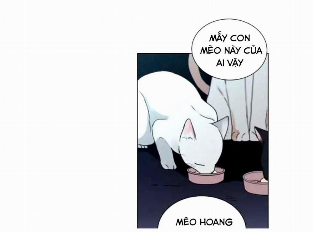 Hiến Máu 38 trang 8