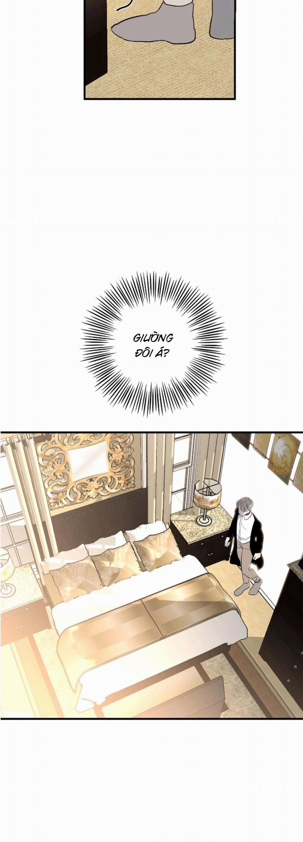 Hiệu Quả Kinh Doanh 19 trang 31