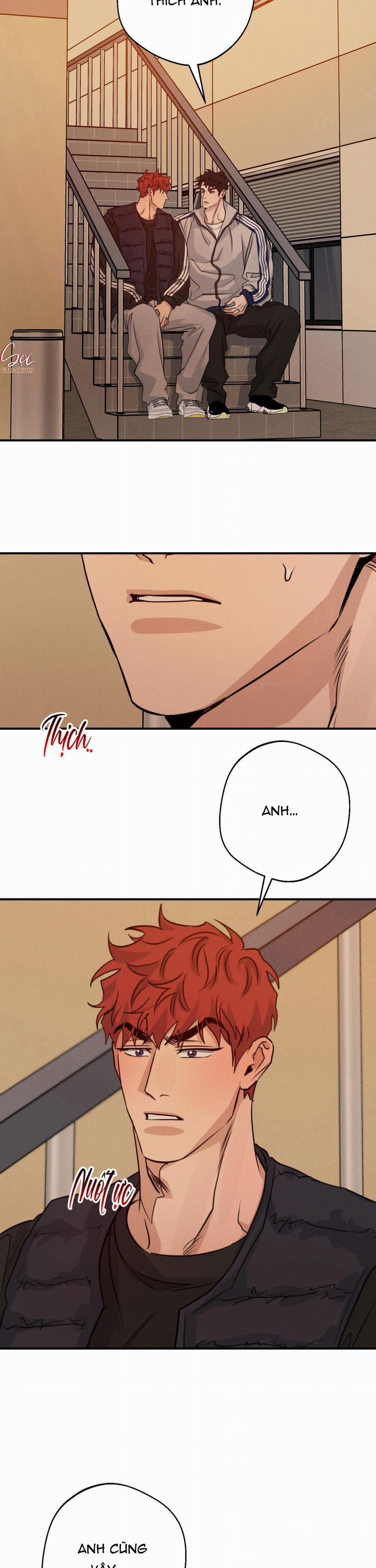 High Clear 51 trang 17