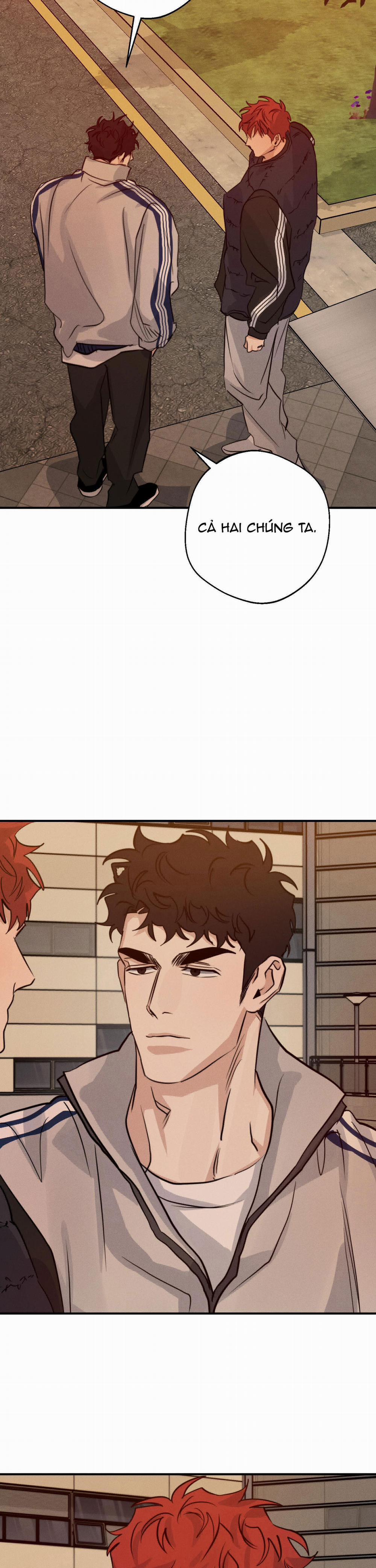 High Clear 51 trang 22