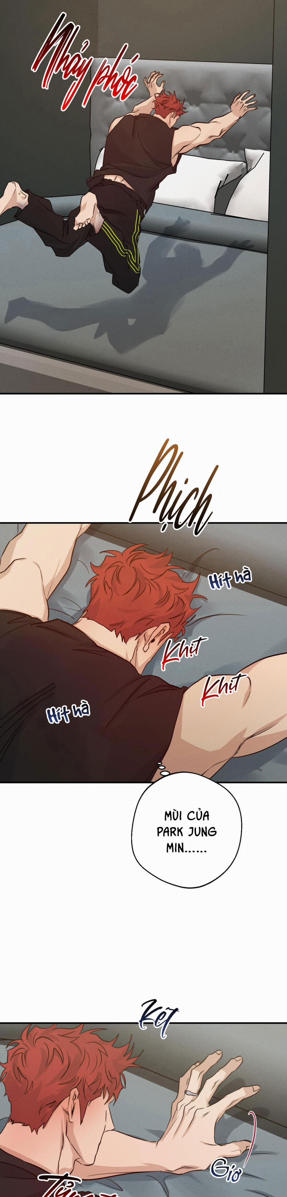 High Clear 51 trang 32