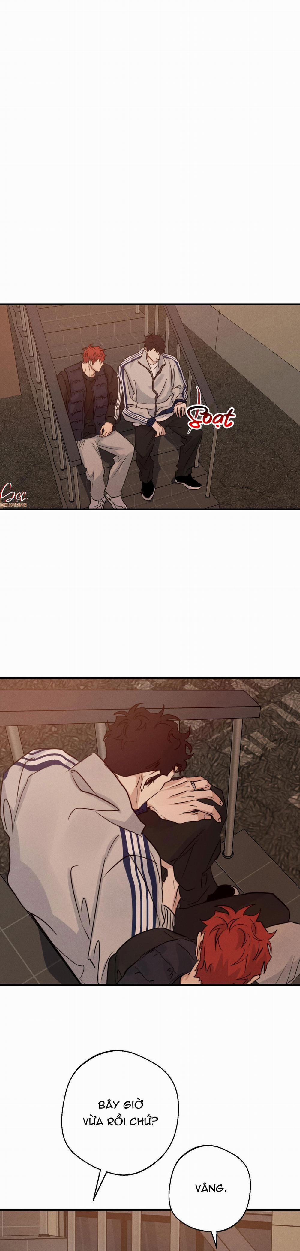 High Clear 51 trang 8