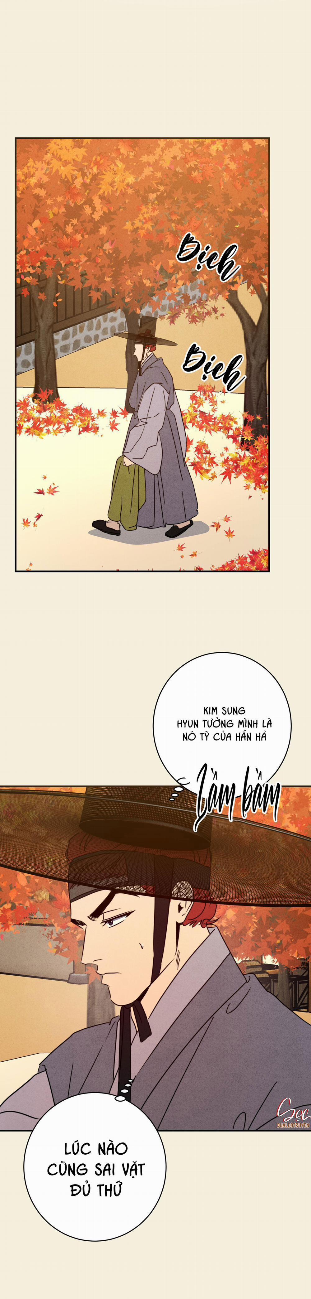 High Clear 53.1 trang 2