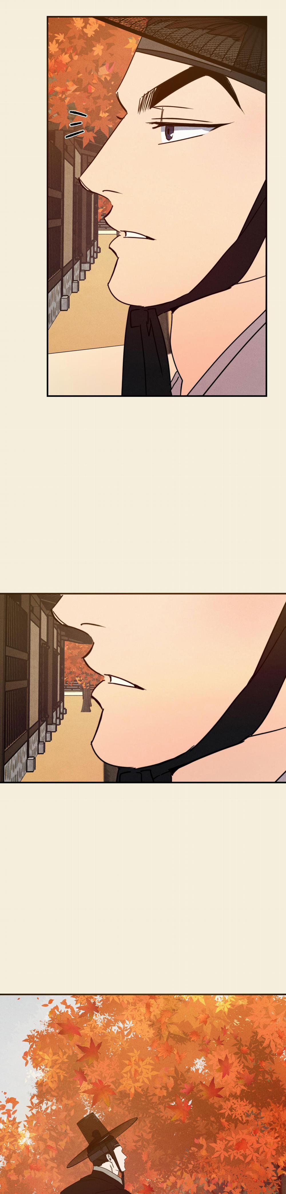 High Clear 53.1 trang 3