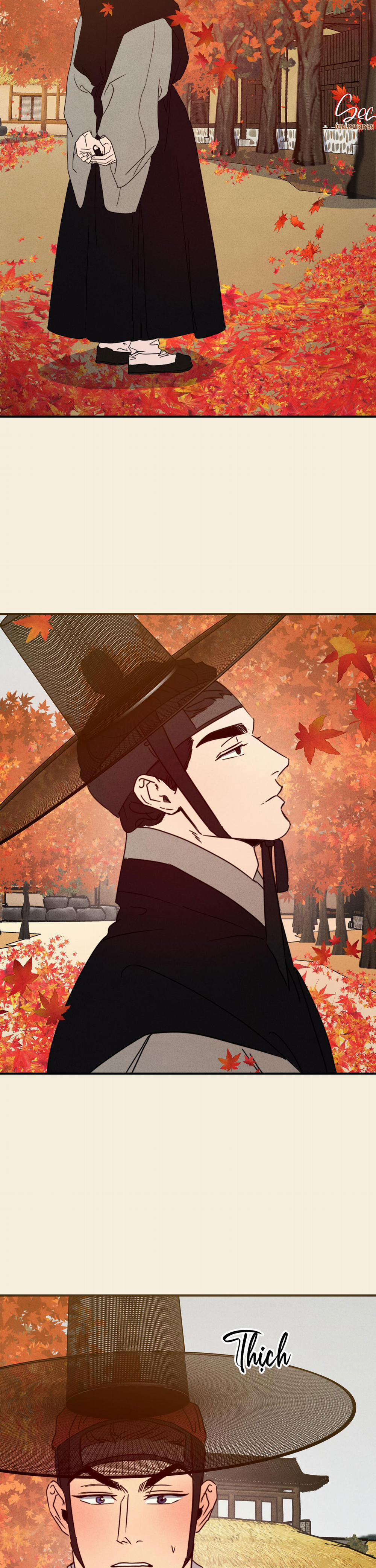 High Clear 53.1 trang 4