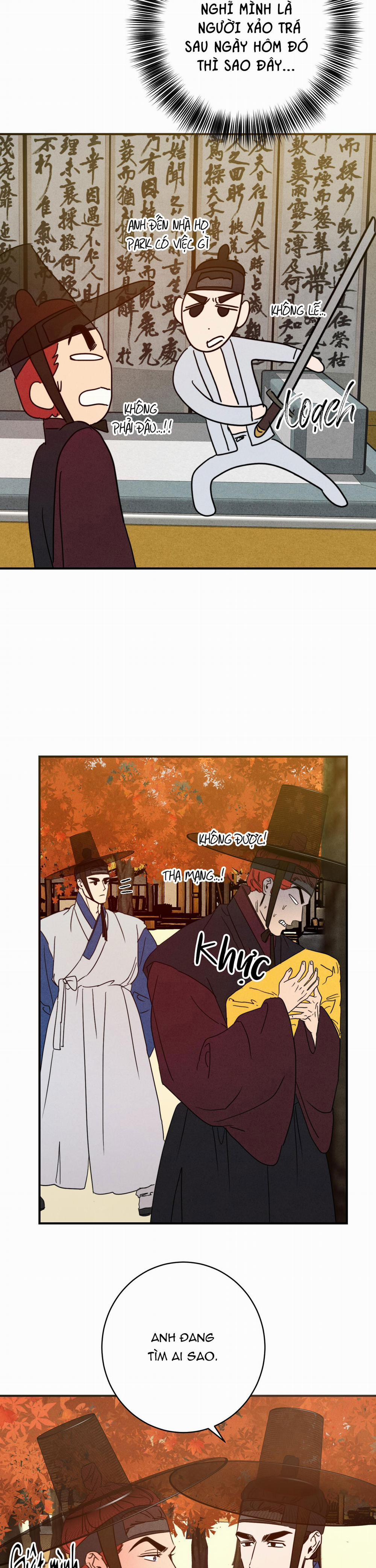 High Clear 53.1 trang 7