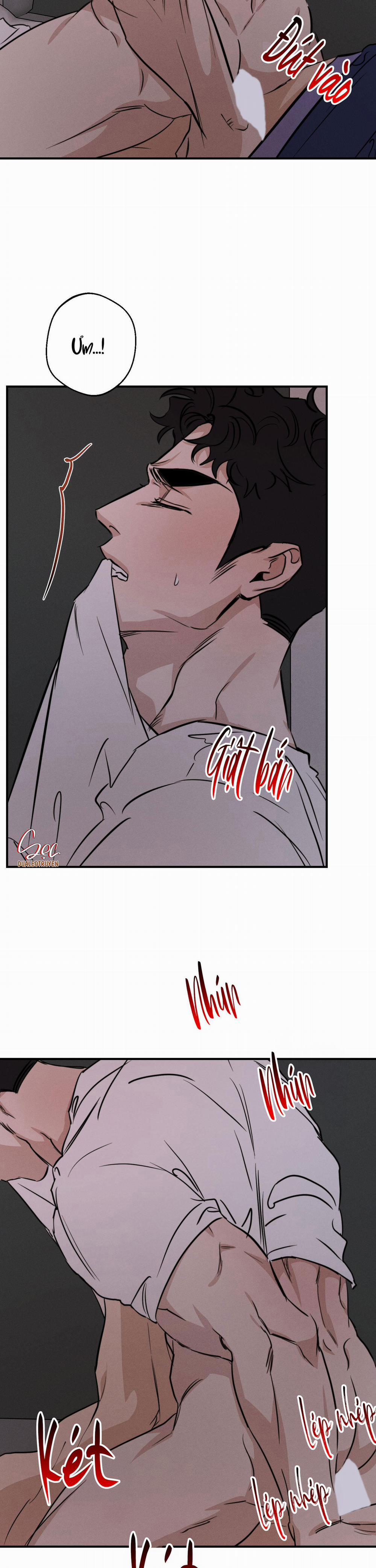 High Clear 54 trang 11