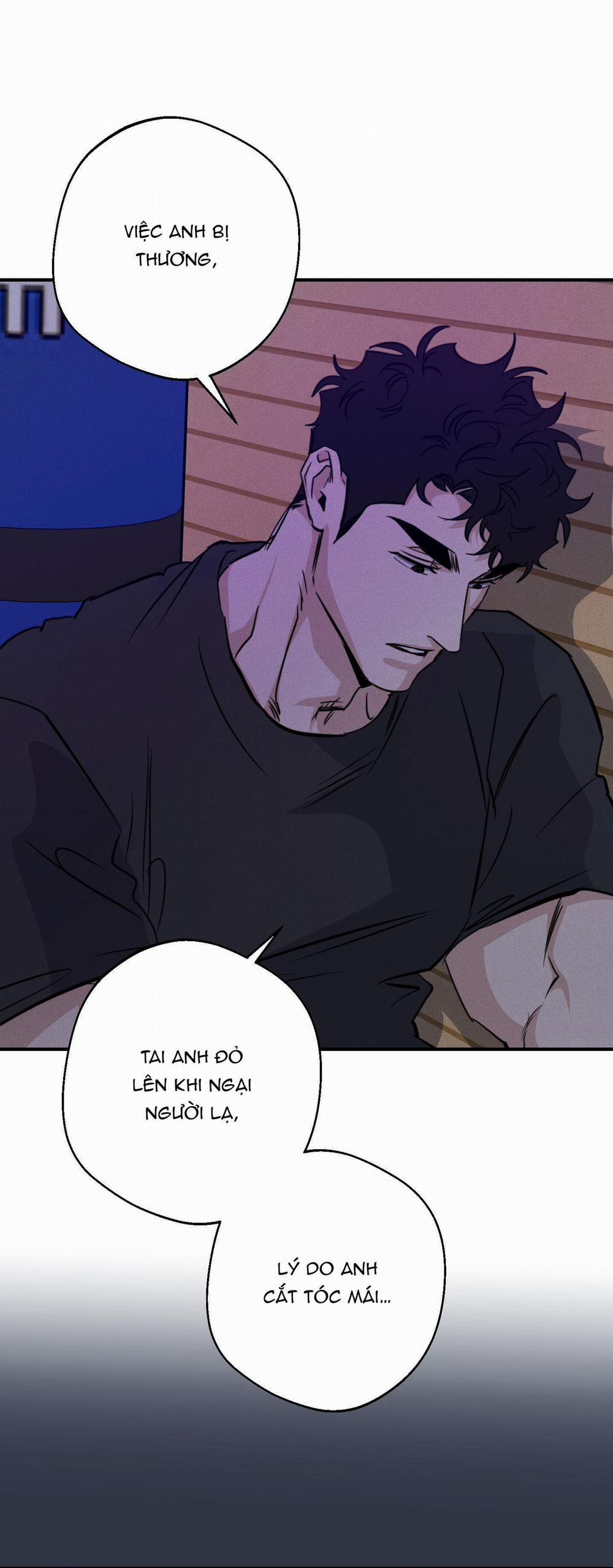 High Clear 58 trang 15