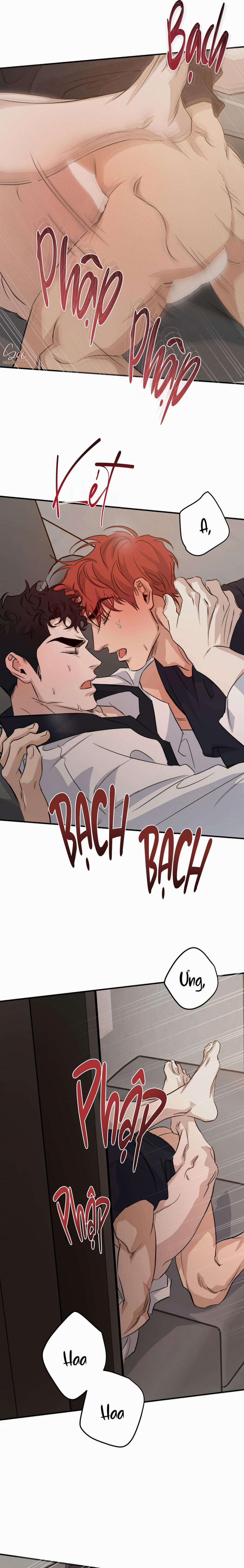 High Clear 66 trang 15