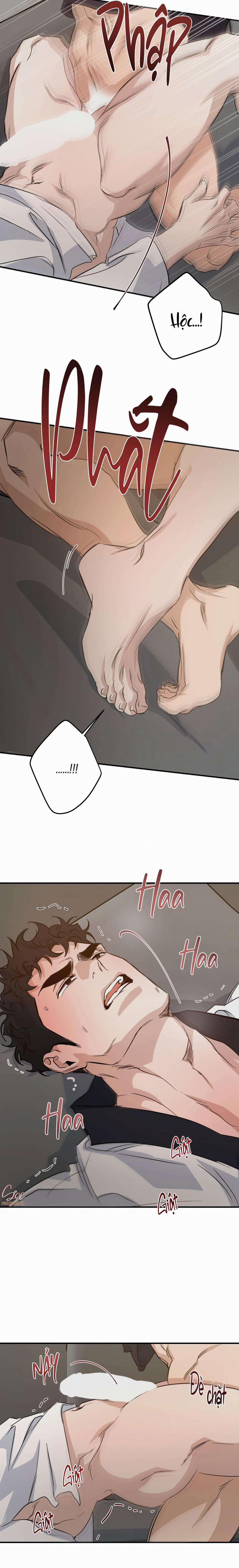 High Clear 66 trang 16