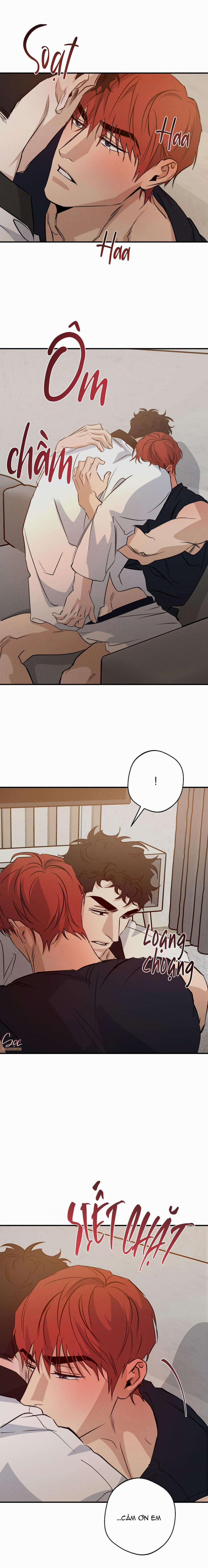 High Clear 66 trang 2