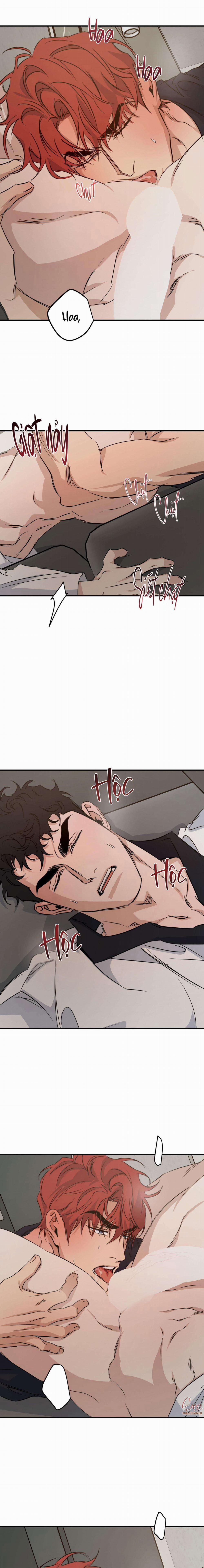 High Clear 66 trang 9