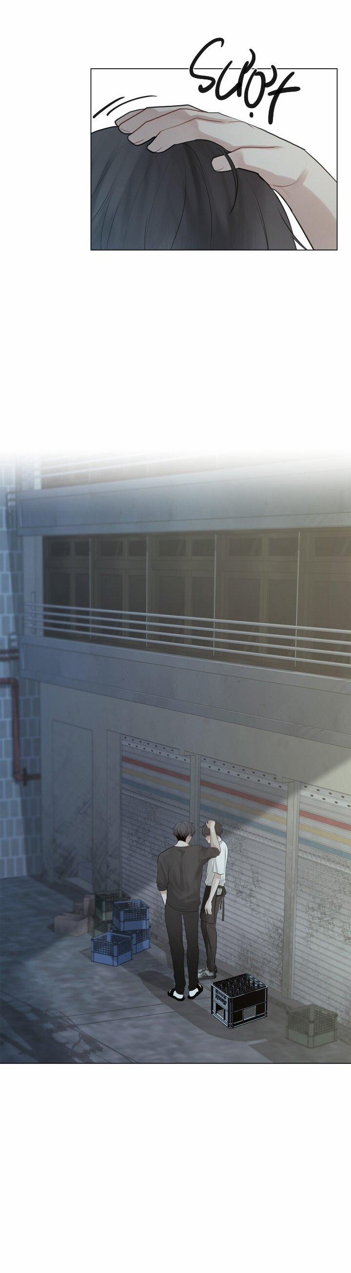 Hình Bóng Phản Chiếu 11 trang 13